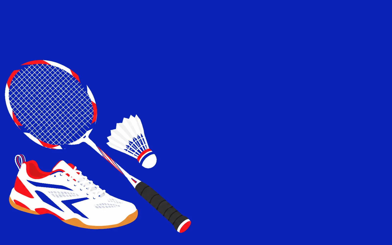 Badminton racket, shuttlecock and court shoe